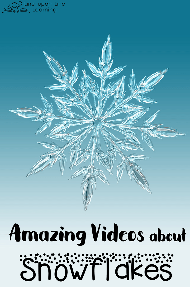 Snowflakes are amazing! These cool snowflake videos get up close and personal with the details behind these beautiful creations of nature.