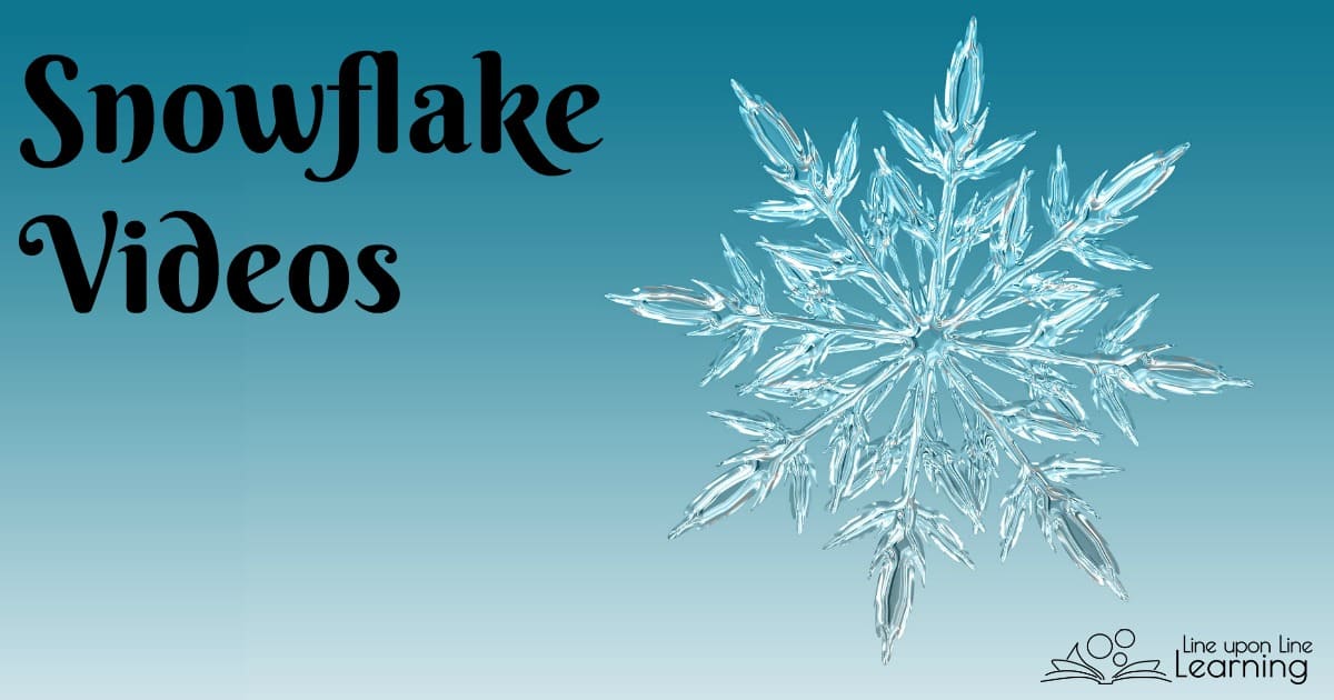 Learn more about Snowflake Bentley and learn about how snowflakes form with these cool snowflake videos. Learn more about Snowflake Bentley and learn about how snowflakes form with these cool snowflake videos.