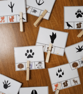 animal tracks clip cards sample image