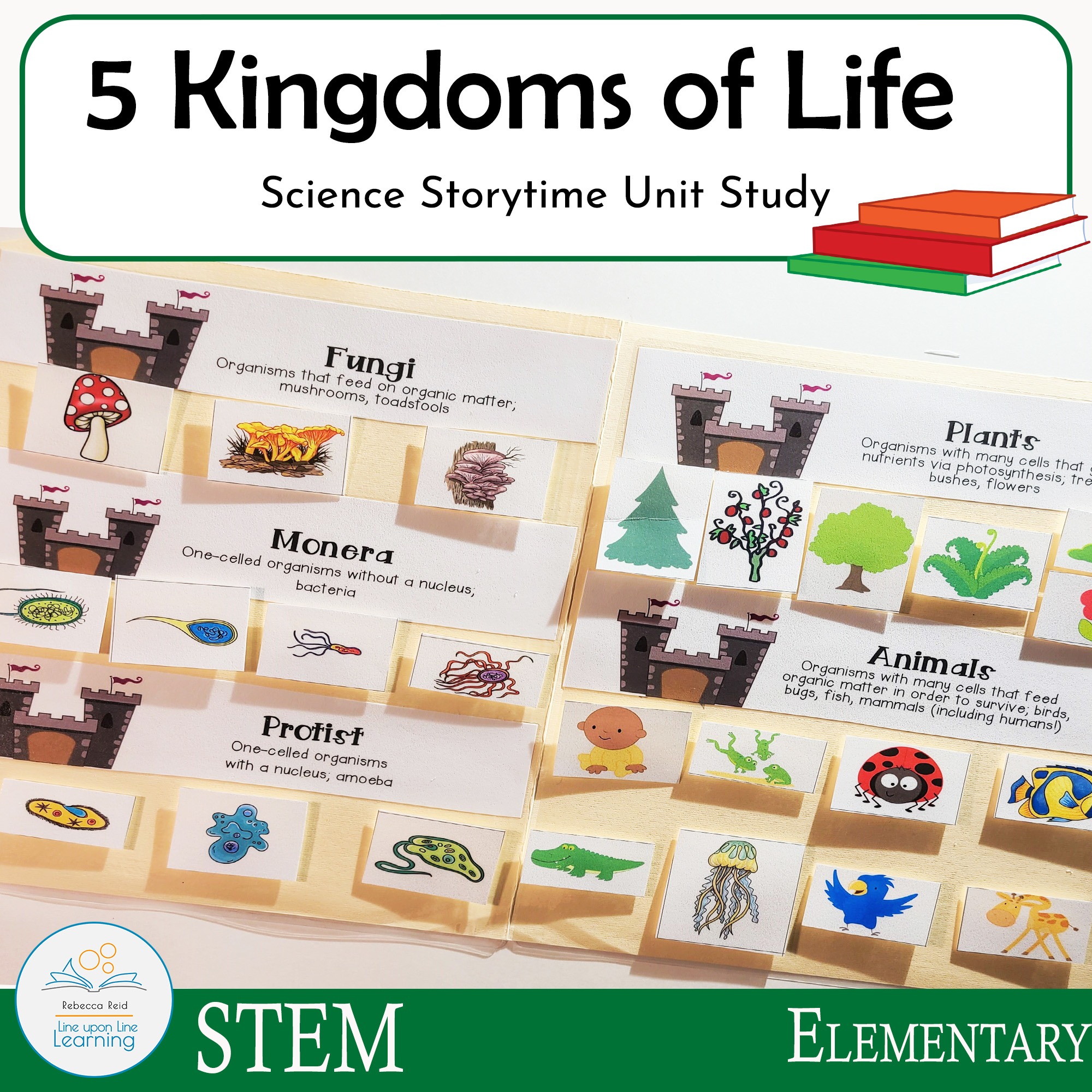 5 kingdoms-cover copy